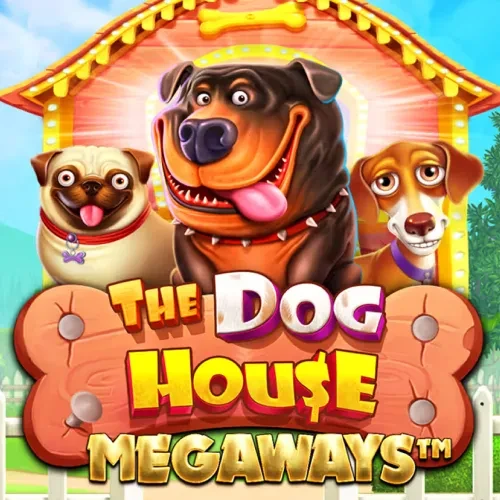 ue The Dog House Megaways no app 1win para ganhar com milhares de linhas de pagamento e bônus divertidos.